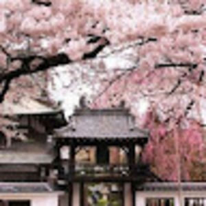 Meet your Posher, Jooyeon